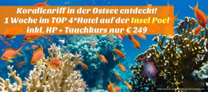 Inklusive Tauchkurs! 1 Woche im romantischen TOP 4*Hotel auf der Insel Poel, Halbpension + Tauchkurs nur 249,- Euro