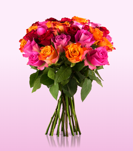 Miflora Rosenrallye mit bis zu 30 Rosen für nur 18,90 Euro inkl. Versand