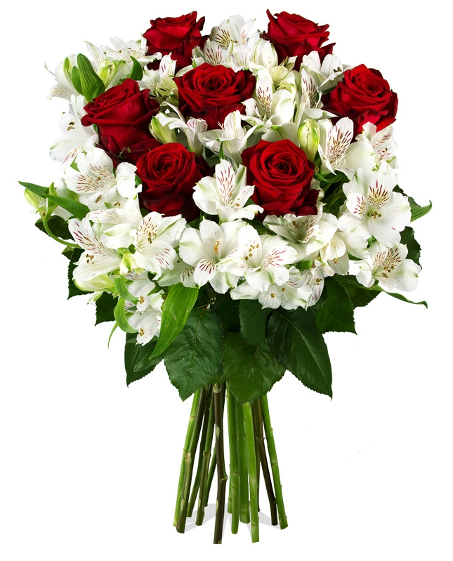 Bei Miflora das Blumenarrangement “Gloria” mit roten Rosen für nur 17,90 Euro inkl. Versand