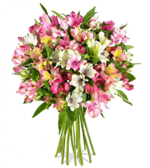 Blumenschnäppchen! Blumenstrauss Pink Fifties bei Miflora für nur 13,92 Euro inkl. Versandkosten statt 24,90 Euro!