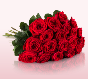 Strauß mit 20 Red Naomi Rosen bei Blume Ideal heute für nur 16,85 Euro mit Versand
