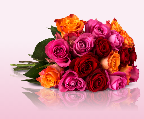 Blumenstrauß Clara mit 30 bunten Rosen nur 18,90 Euro inkl. Versand