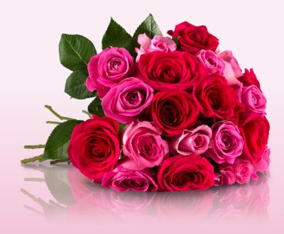 Blumenstrauß mit 25 Rosen in Pink für nur 17,90 Euro inkl. Zustellung!