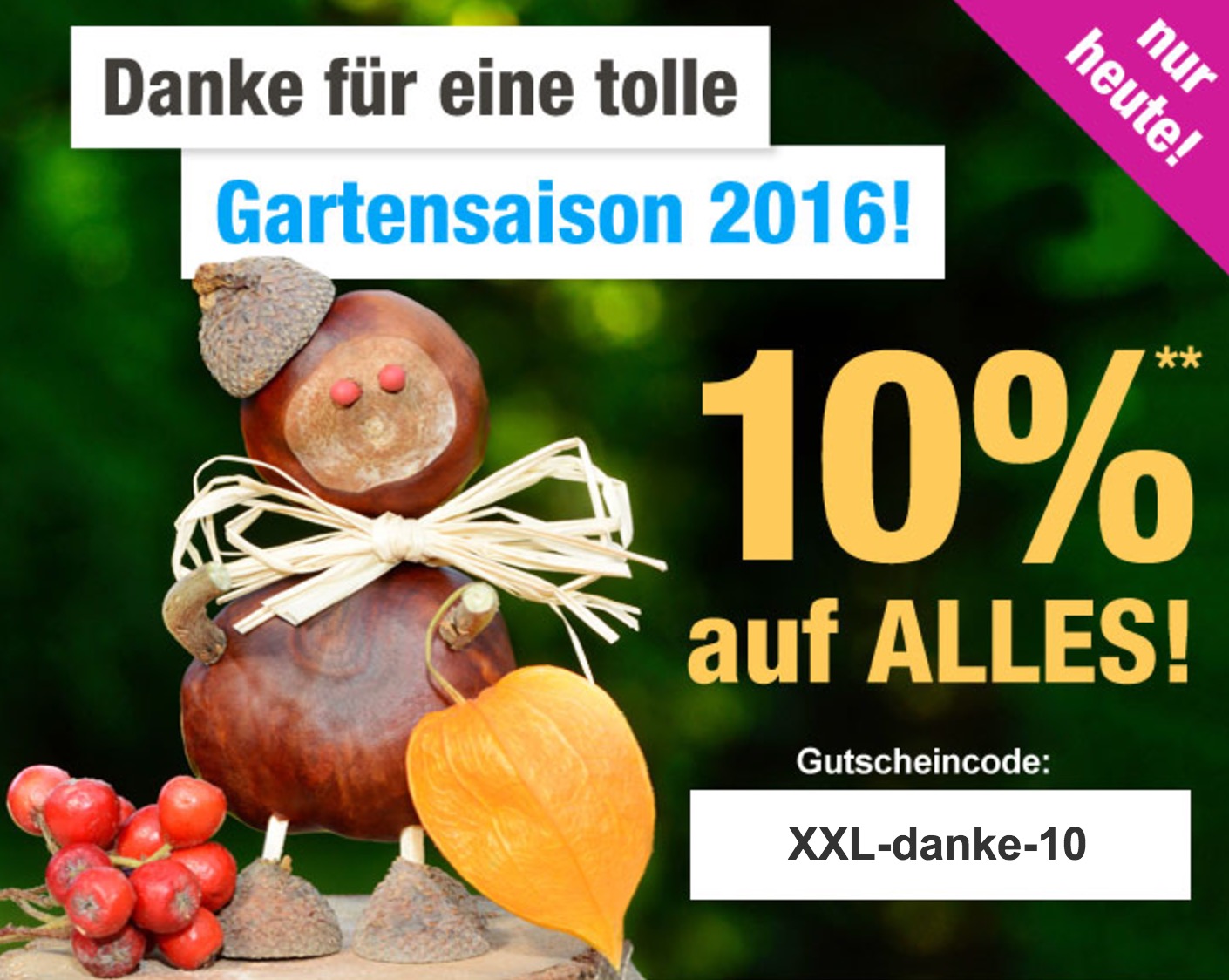 Nur heute: 10% Rabatt auf das gesamte Sortiment bei GartenXXL