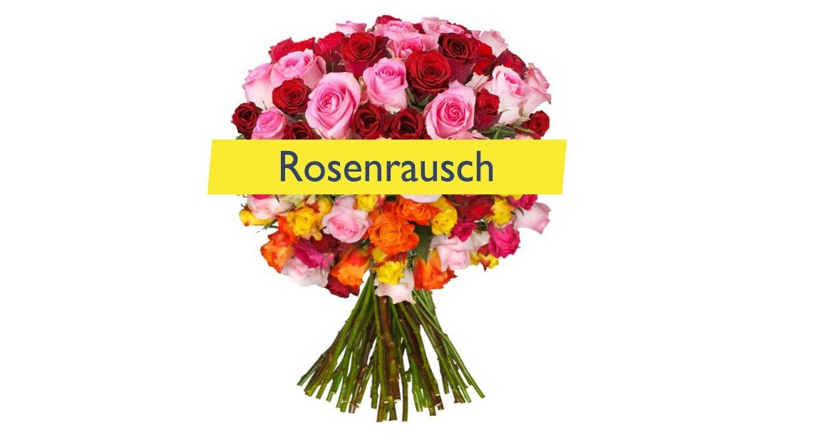 rosenrausch-big