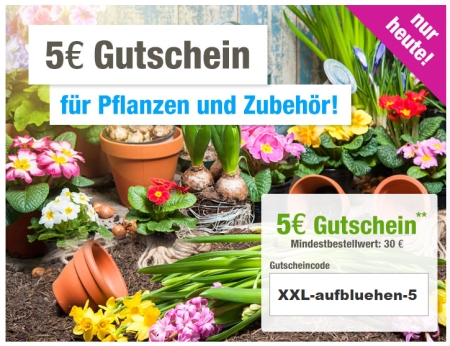 5,- Euro Gutschein mit 30,- Euro MBW auf die Kategorie Pflanzen bei GartenXXL