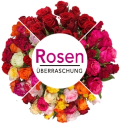 Blumenstrauß mit 41 einfarbigen, zweifarbigen oder bunten Rosen nur 22,98 Euro inkl. Versand