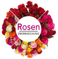 Blumenstrauß mit 28 einfarbigen, zweifarbigen oder bunten Rosen nur 19,98 Euro