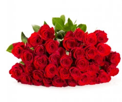 Blumenstrauß “RedRoses” mit 25 roten Rosen für nur 19,98 Euro inkl. Versand