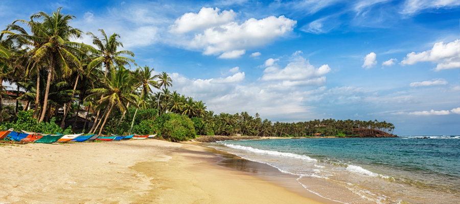 2 Wochen Sri Lanka, 3,5*Hotel (84%) direkt am Strand,Halbpension, Flug (1 Stopp), Zug zum Flug, Transfers für 865,- Euro