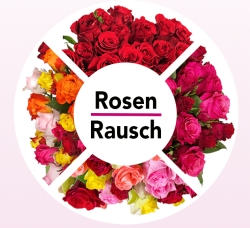 Rosen-Rausch: Bis zu 33 bunte Rosen für nur 19,98 Euro inkl. Lieferung