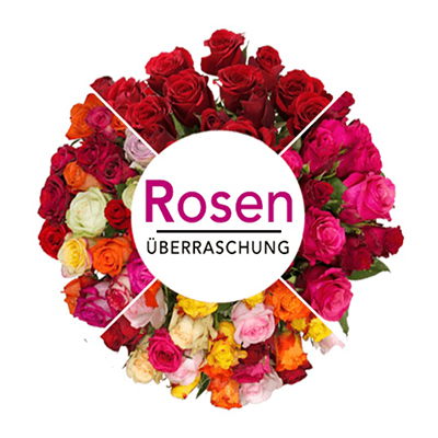 Rosenüberraschung mit bunten 28 Rosen für nur 19,98 Euro inkl. Zustellung