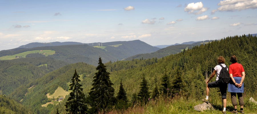 Harz: 3 Tage im sehr guten 4* Torfhaus Hotel (93%) inkl. Frühstück und 3-Gänge-Menü ab 119,- Euro