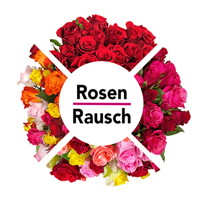 Rosenrausch: Bis zu 33 einfarbige, zweifarbige oder bunt gemischte Rosen für nur 19,98 Euro