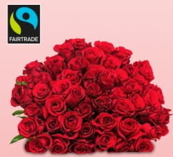 Blumenstrauß mit 33 roten fairtrade Rosen nur 19,98 Euro inkl. Zustellung