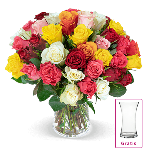 33 bunte Rosen für nur 24,98 Euro inkl. Versand + gratis Vase