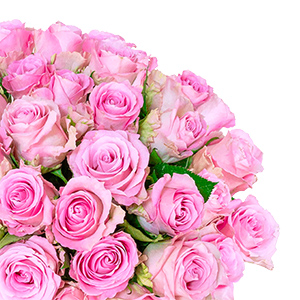 Strauß mit 24 rosa Rosen für nur 30,98 Euro inkl. Lieferung