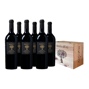6er-Holzkiste Antica Viti Edizione Numero Uno Vino Rosso für nur 59,99 Euro inkl. Versand