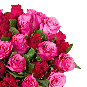 Blumenstrauß “RomanticRoses” mit 44 pinken und roten Rosen für 26,98€ inkl. Lieferung