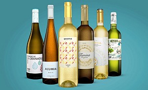 Vinos Weißwein Paket – 6 exklusive Weißweine für 24,99€ (statt 52€)