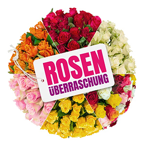 Rosenüberraschung mit 50 Rosen (40-50 cm Länge) für 28,98€ inkl. Versand