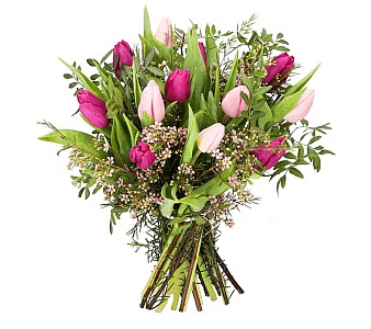 Blumenstrauß “Tulpenliebe” mit rosa und pinken Tulpen für 25,98€ inkl. Versand (statt 36€)