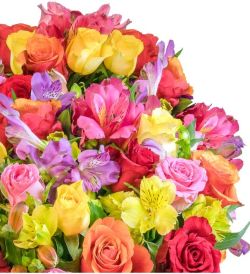 Blumenstrauß Rosenglück XXL (30 Stiele, bis zu 100 Blüten) für nur 24,98€ inkl. Lieferung