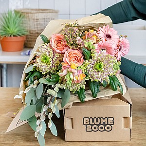 Blumenbox „Sophie“ für 10€ inkl. Versand (statt 25€)