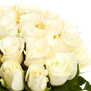 Strauß mit 50 weißen Rosen (40 cm) für nur 29,48€ inkl. Lieferung