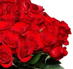Blumenstrauß mit 44 roten Rosen (40cm) für 26,98€ inkl. Versand (statt 40€)