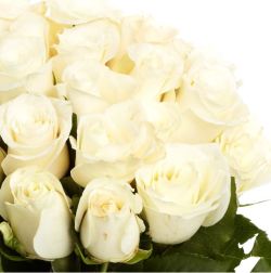 Blumenstrauß mit 44 weißen Rosen (40cm) für 28,98€ (statt 49,98€)