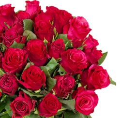 Blumenstrauß mit 50 roten Rosen (40cm) für 27,98€ inkl. Versand (statt 49,99€)
