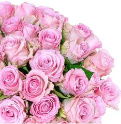 Rosenstrauß mit 50 pinken Rosen für nur 27,98€ (statt 49,99€