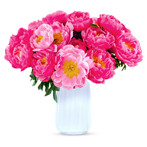 Blumenarrangement mit 20 Pfingstrosen für nur 26,98€ inkl. Versand