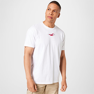 Hollister Herren T-Shirt (weiß, XS-XXL) für nur 12,95€ inkl. Versand