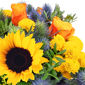 Sommerlicher Blumenstrauß “Sonnenkuss” mit Sonnenblumen & Rosen für nur 26,98€ inkl. Lieferung