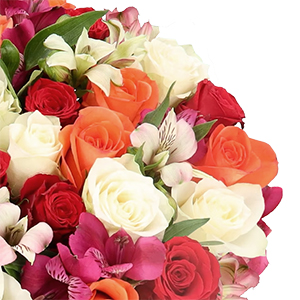 Blumenstrauß “Sunset” mit Rosen & Inkalilien (30 Stiele – 100 Blüten) für 24,98€ inkl. Versand