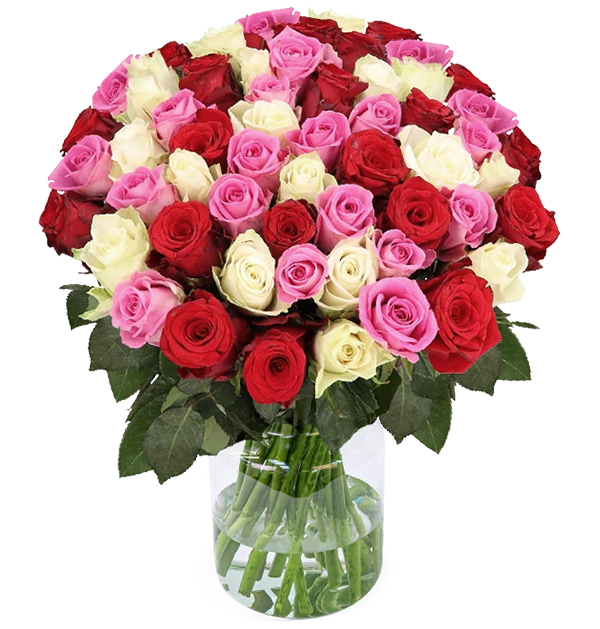 Strauß mit 40 Rosen (Rot, Pink & Weiß – 40cm) für nur 25,98€ inkl. Versand