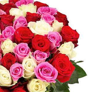Blumenstrauß „Alice“ mit 40 Rosen (Rot, Pink und Weiß – 40cm) für nur 25,98€ inkl. Lieferung