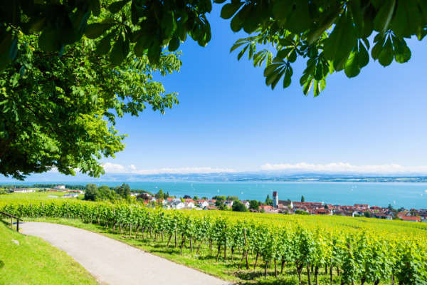 6 Tage Bodensee im tollen Hotel inklusive Halbpension