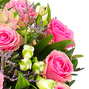Blumenstrauß “Frisch Verliebt” mit rosa Rosen für nur 27,98€ inkl. Lieferung