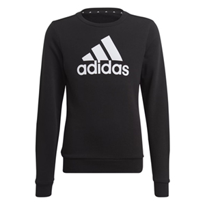 Adidas Kids Logo Sweater (128-164) für nur 19,98€ inkl. Lieferung (statt 30€)