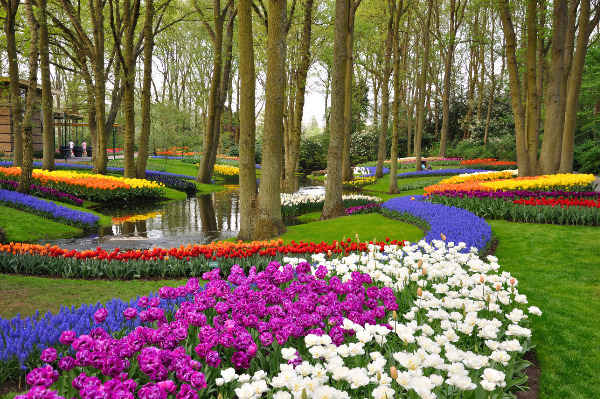 Tulpenblüte in Holland! Amsterdam im 4-Sterne Hotel inkl. Parkplatz ab 99€ (statt 215€) für 2 Personen