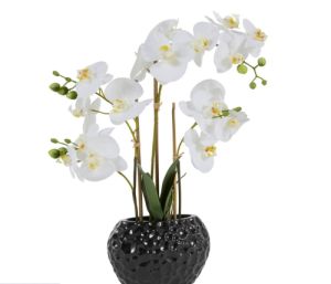 Kunstpflanze Orchidee Leonique, (38 cm Höhe, im Topf) für nur 17,94€