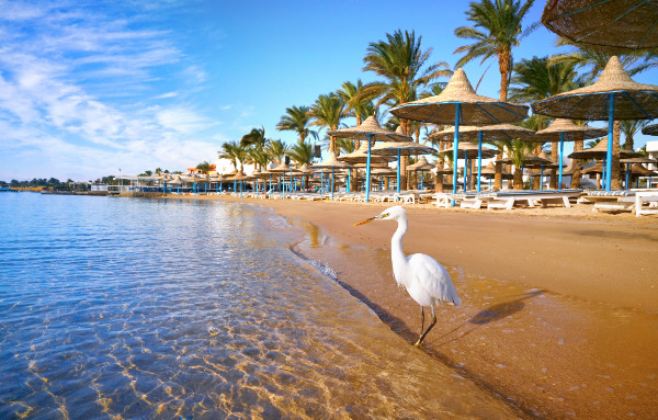 Hurghada im top 4-Sterne Hotel mit All Inclusive ab 500€