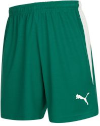 PUMA V-Kat Herren Shorts für nur 11,94€ (statt 15€)