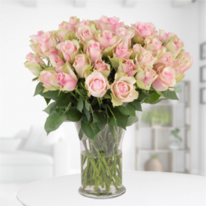 40 pastellfarbene Rosen (40 cm Stiellänge) für nur 27,90€