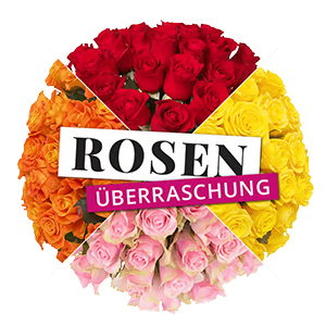 Rosenüberraschung mit 50 Rosen (40-50 cm Länge) für 35,48€ inkl. Versand