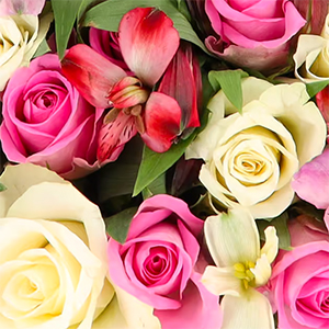 Blumenstrauß “Herzensangelegenheit” mit Rosen & Inkalilien (30 Stiele, bis zu 100 Blüten) für 29,48€