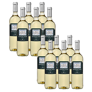 12 Flaschen Calle Principal Sauvignon Blanc für 46,95€ inkl. Lieferung